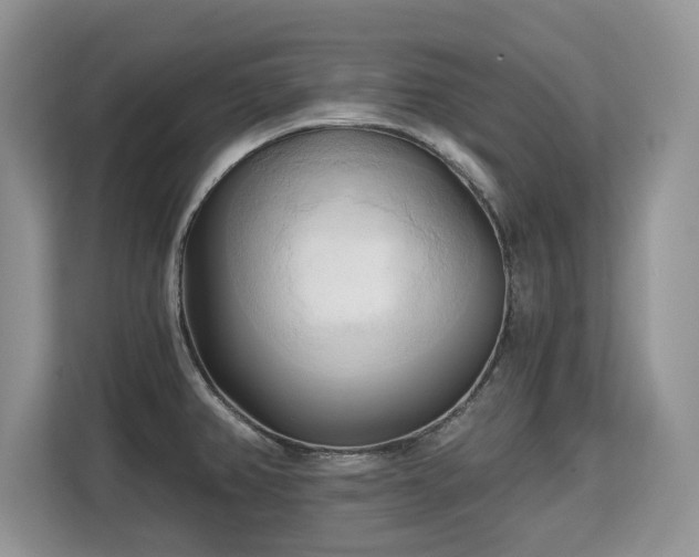 X0000113131382200909110905