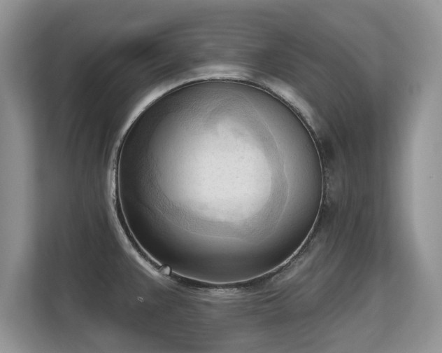 X0000113131383200909110905