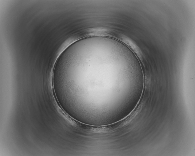 X0000113131386200909110905