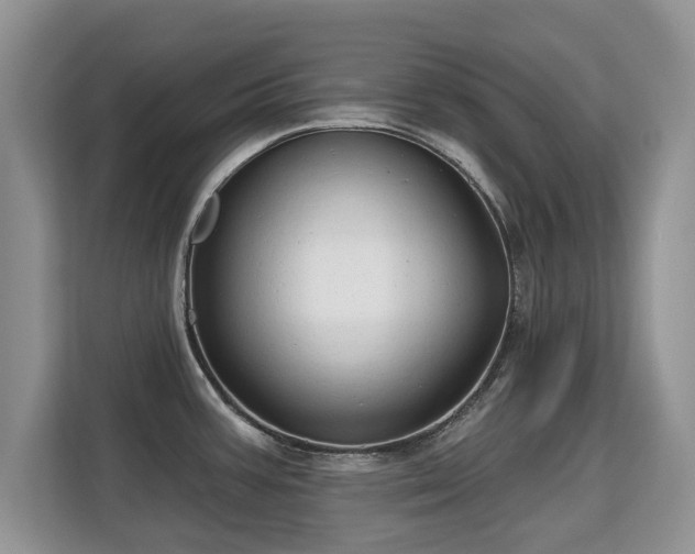 X0000113131387200909110905