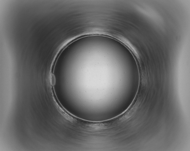 X0000113131388200909110905