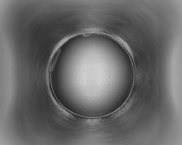 X0000113131389200909110905