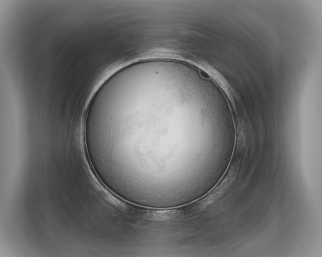 X0000113131390200909110905