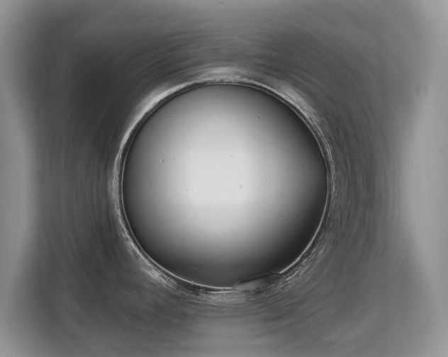 X0000113131392200909110905