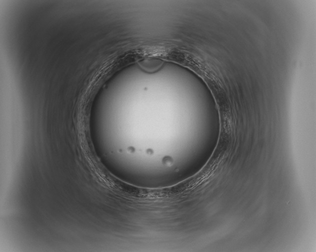 X0000113131393200909110904