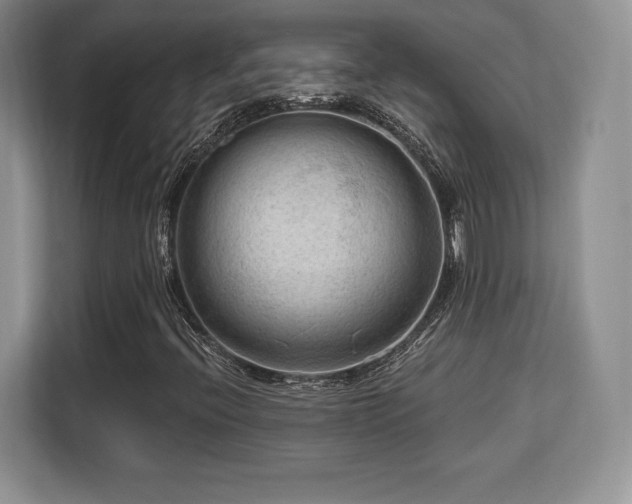 X0000113131396200909110904