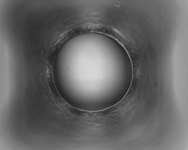 X0000113131397200909110904