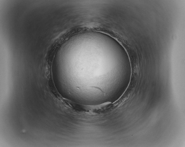 X0000113131398200909110904