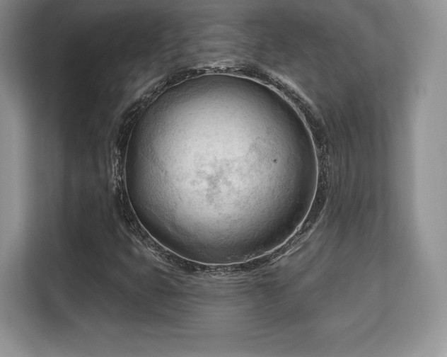 X0000113131399200909110905