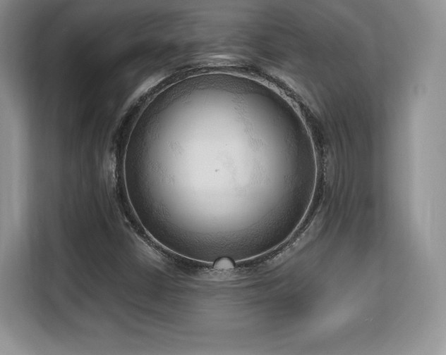 X0000113131402200909110905