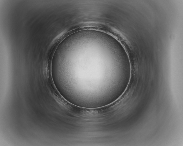 X0000113131403200909110905
