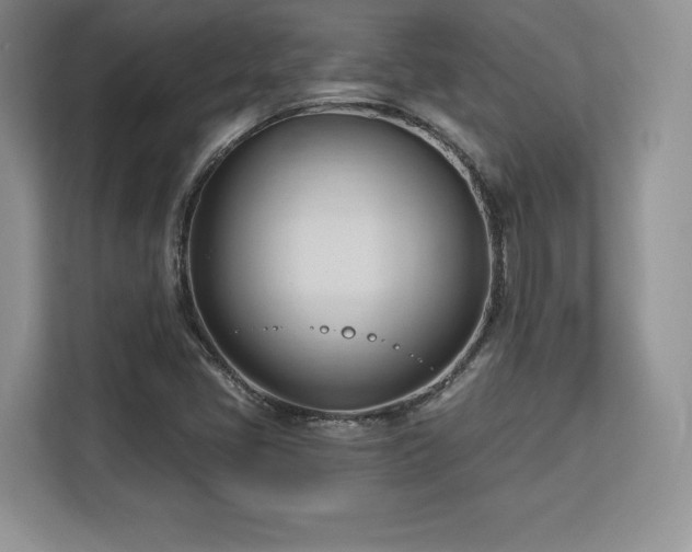 X0000113131405200909110905