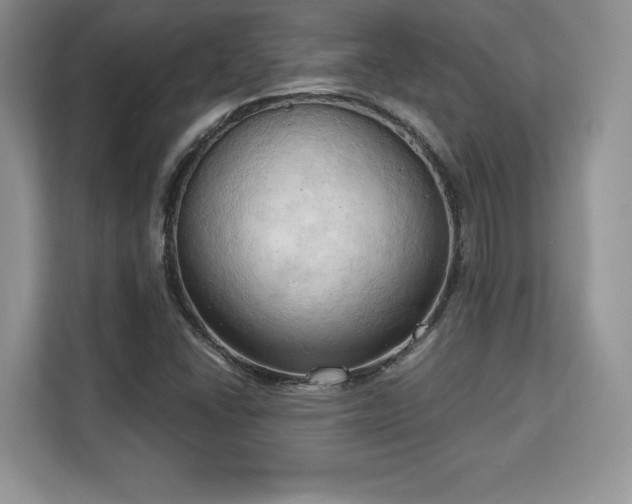 X0000113131406200909110905
