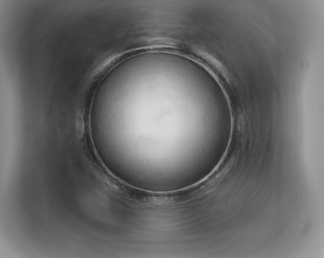X0000113131407200909110905