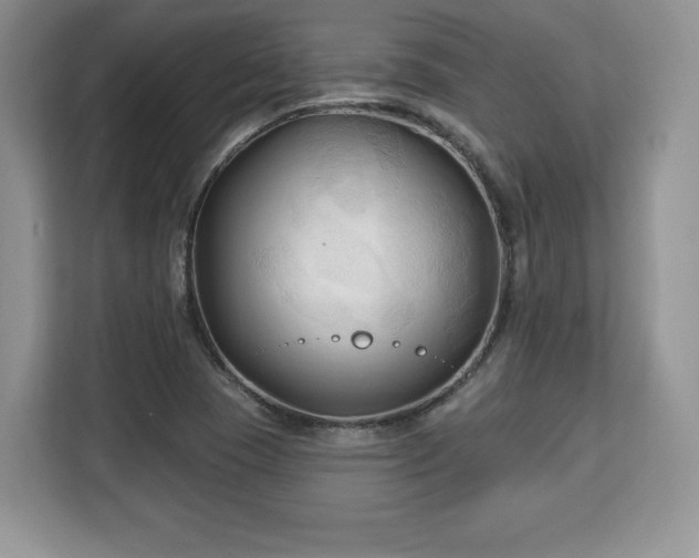 X0000113131409200909110905