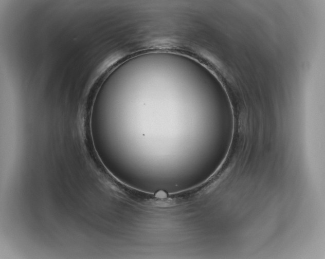 X0000113131410200909110905