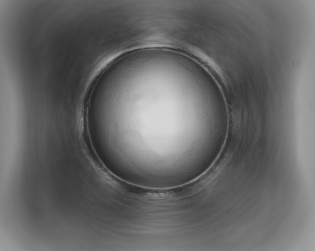 X0000113131415200909110905