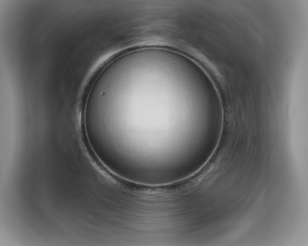 X0000113131416200909110905