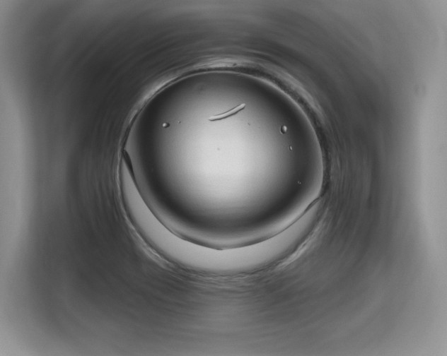 X0000113131417200909110905