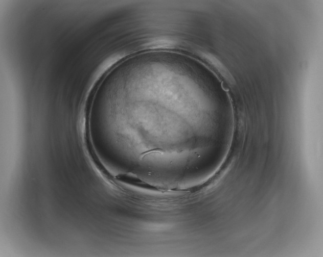 X0000113131418200909110905