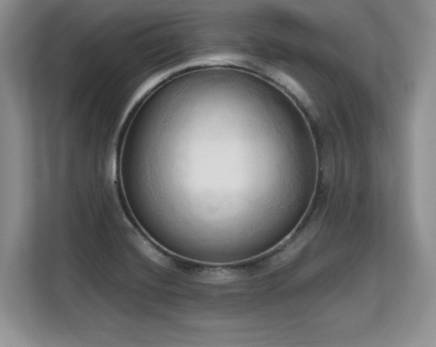 X0000113131420200909110905