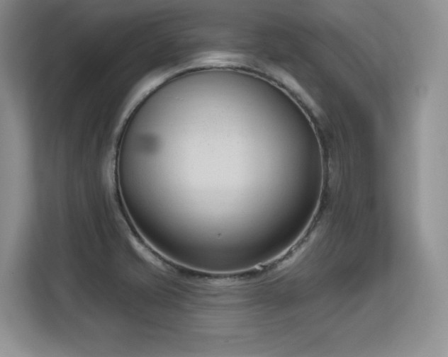X0000113131421200909110905