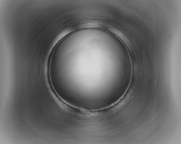 X0000113131426200909110905