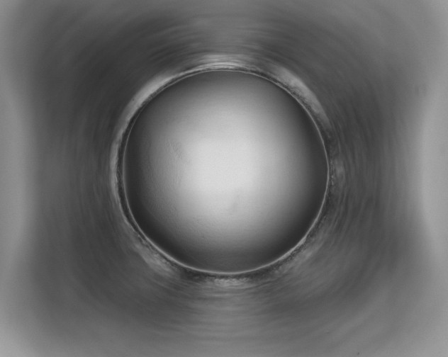 X0000113131427200909110905