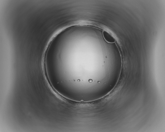 X0000113131429200909110905