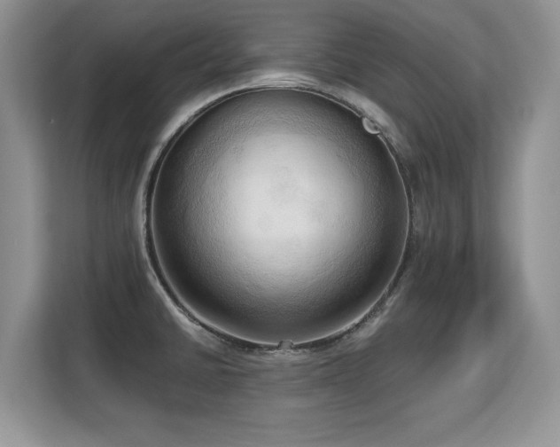 X0000113131430200909110905
