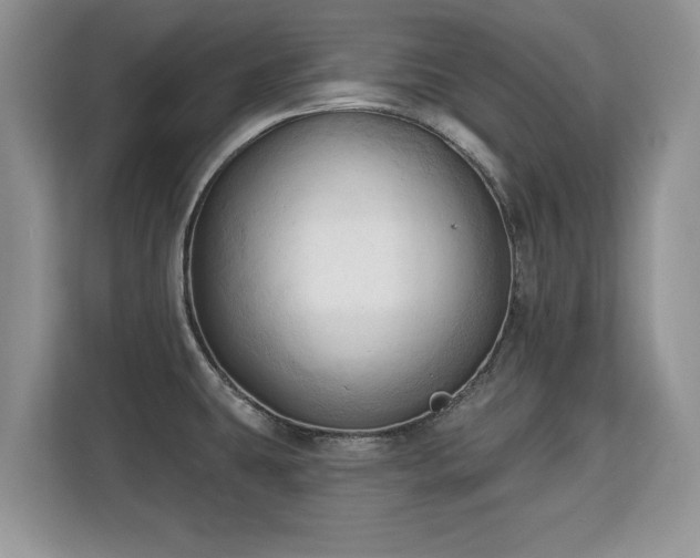 X0000113131431200909110905