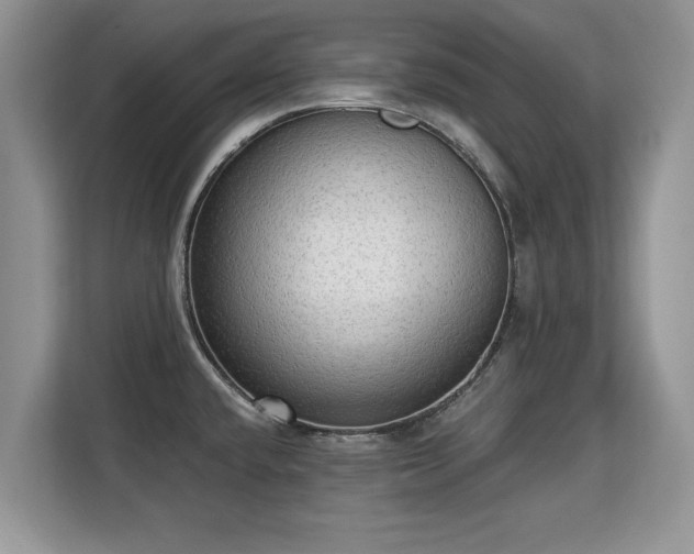 X0000113131432200909110905
