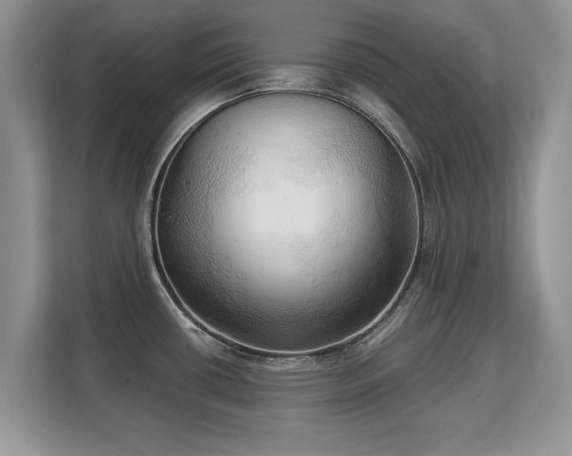 X0000113131434200909110905