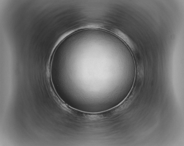 X0000113131436200909110905