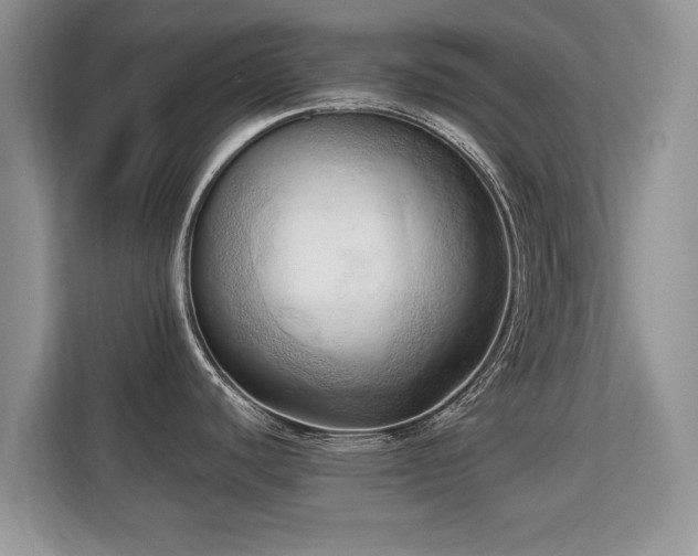 X0000113131440200909110905