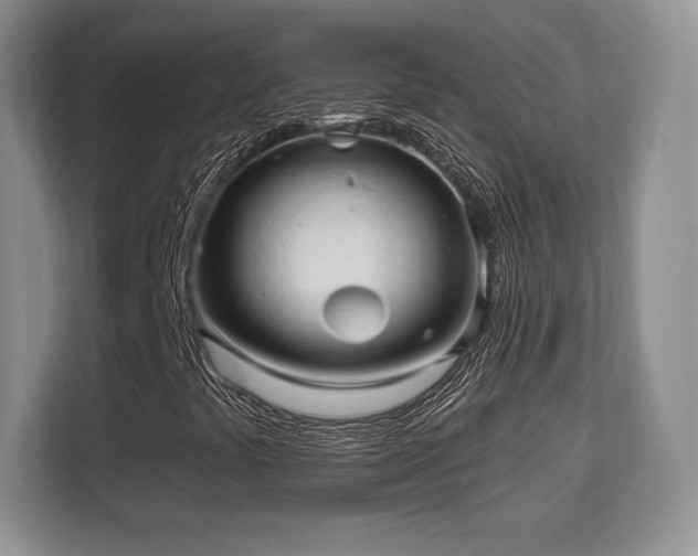 X0000113131441200909110904