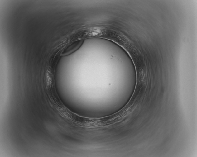 X0000113131442200909110904