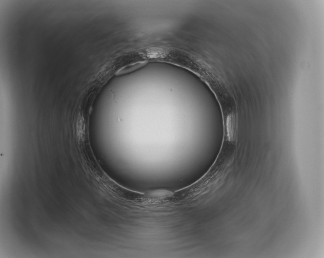 X0000113131443200909110904