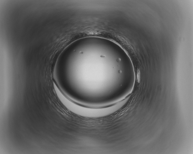 X0000113131444200909110904