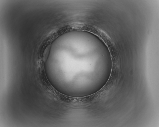 X0000113131445200909110904
