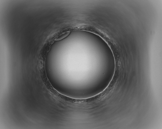 X0000113131447200909110904