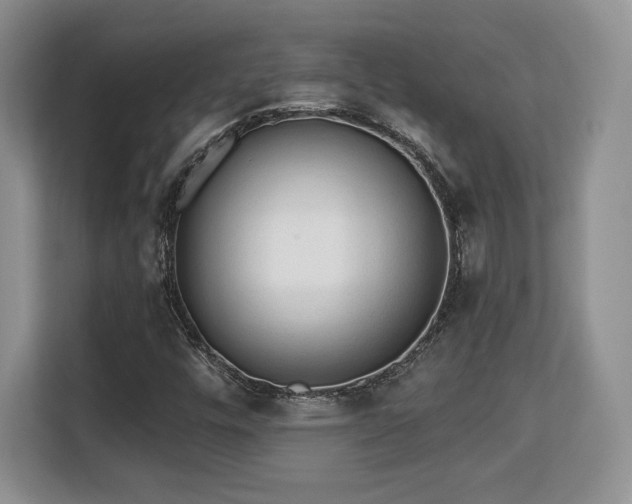 X0000113131448200909110904