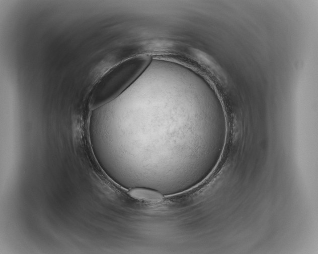 X0000113131449200909110904