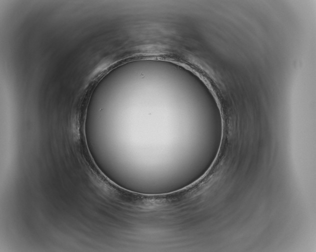 X0000113131451200909110904