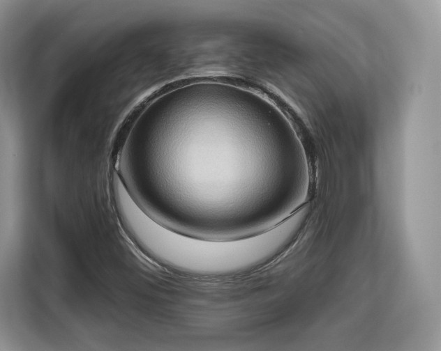 X0000113131452200909110904