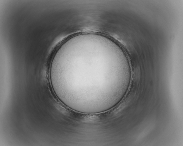X0000113131454200909110904