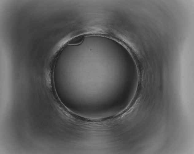 X0000113131455200909110904