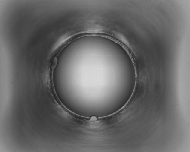 X0000113131456200909110904