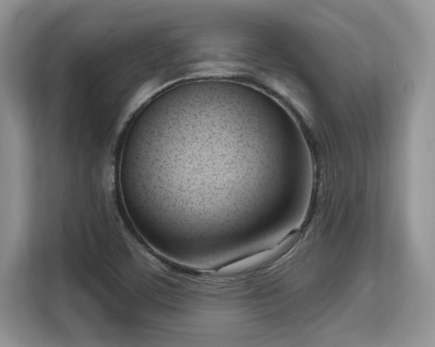 X0000113131459200909110904
