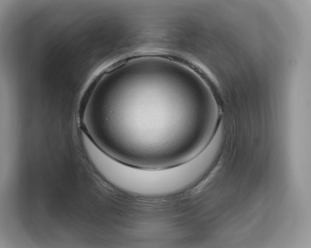 X0000113131461200909110904